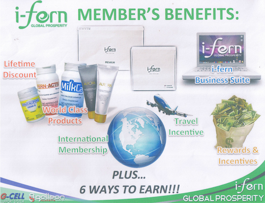 What is i-fern business image