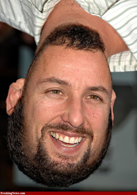 dam Sandler Comedian