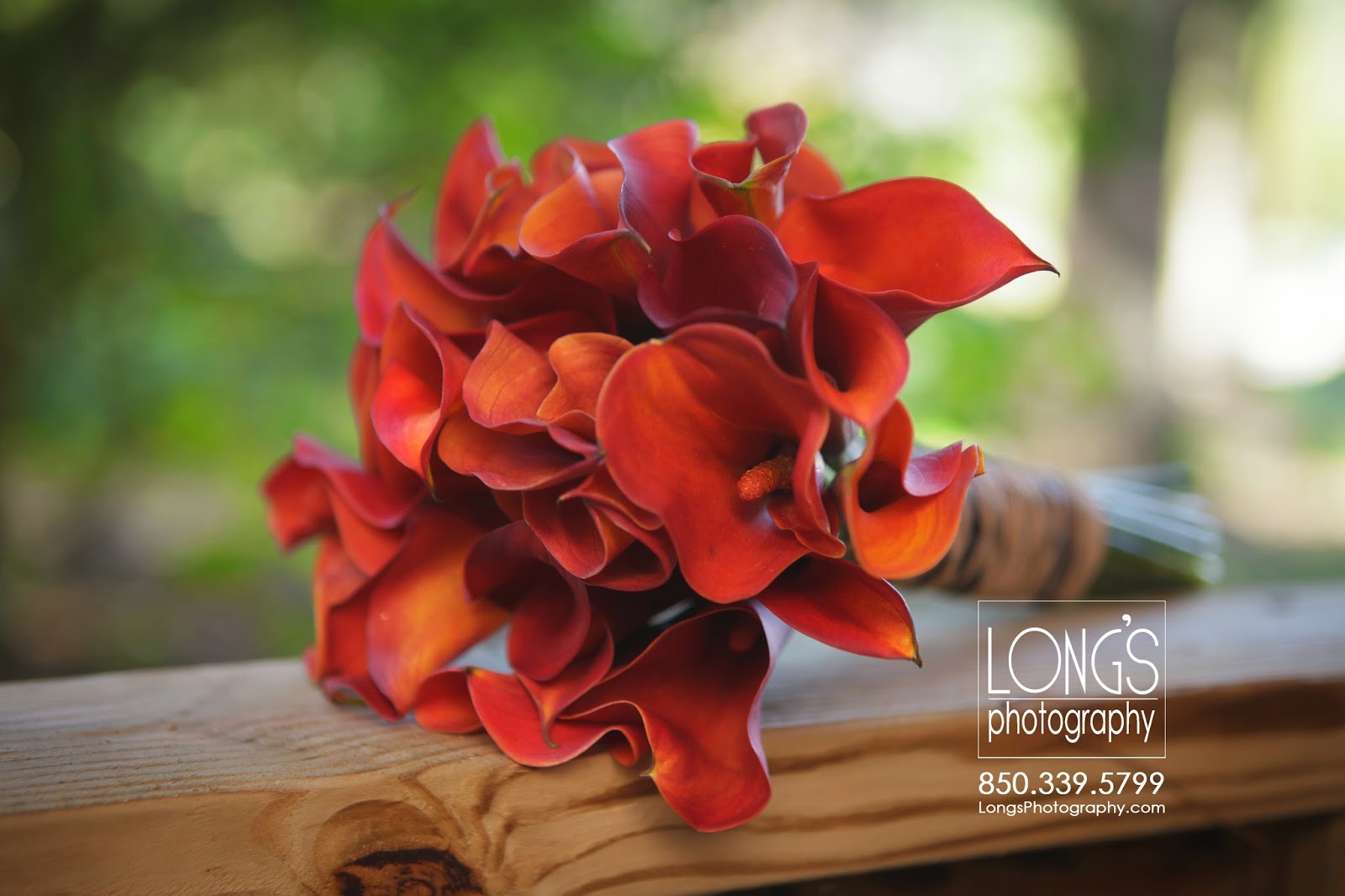 A Country Rose Tallahassee Florist Eight Bridal Bouquets Tallahassee