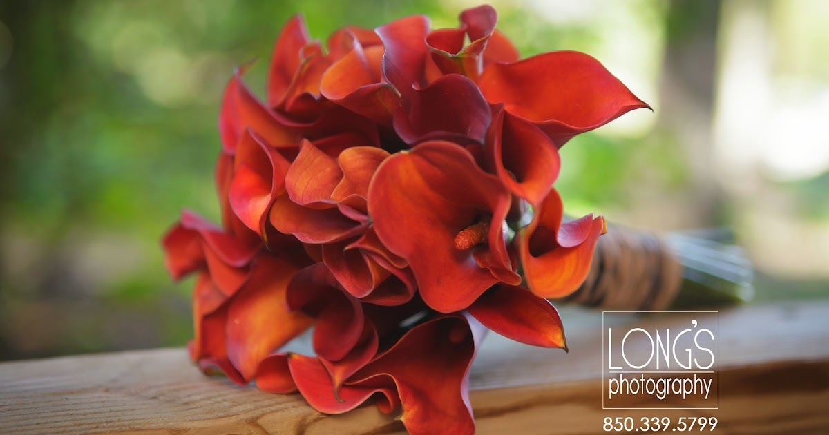 A Country Rose Tallahassee Florist Eight Bridal Bouquets Tallahassee