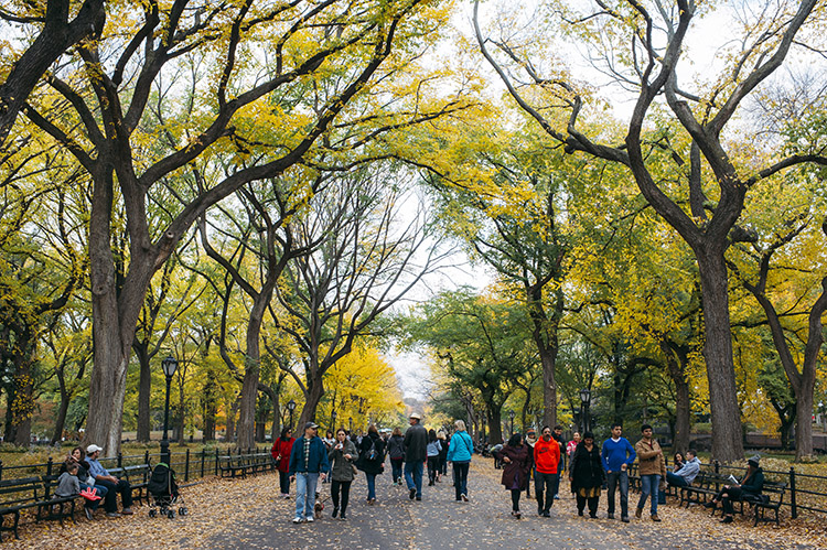 Where to go running in NYC