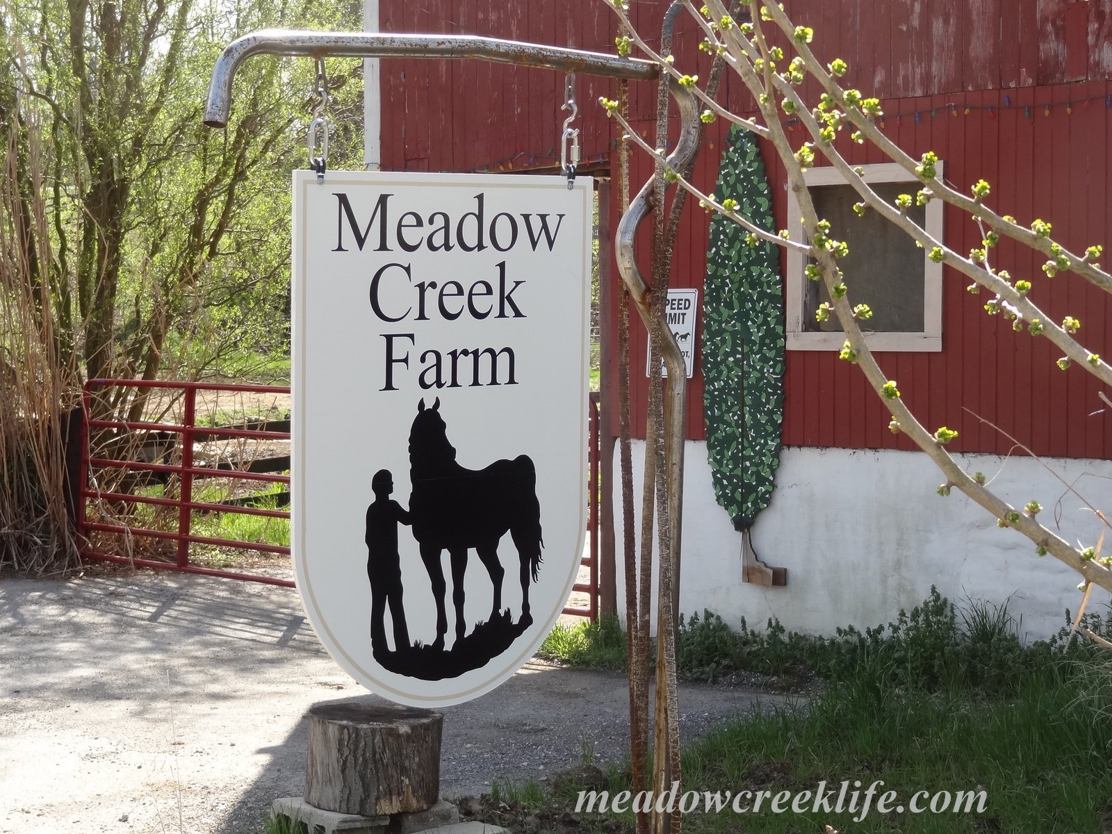 Meadow Creek Farm A new sign for Meadow Creek Farm Part 2