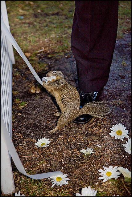 IMAGE: http://2.bp.blogspot.com/-b8b3zX1SSMQ/T5eIMIGNWLI/AAAAAAAACXk/JwLzO2KHcgQ/s640/2012-04-24_014.jpg