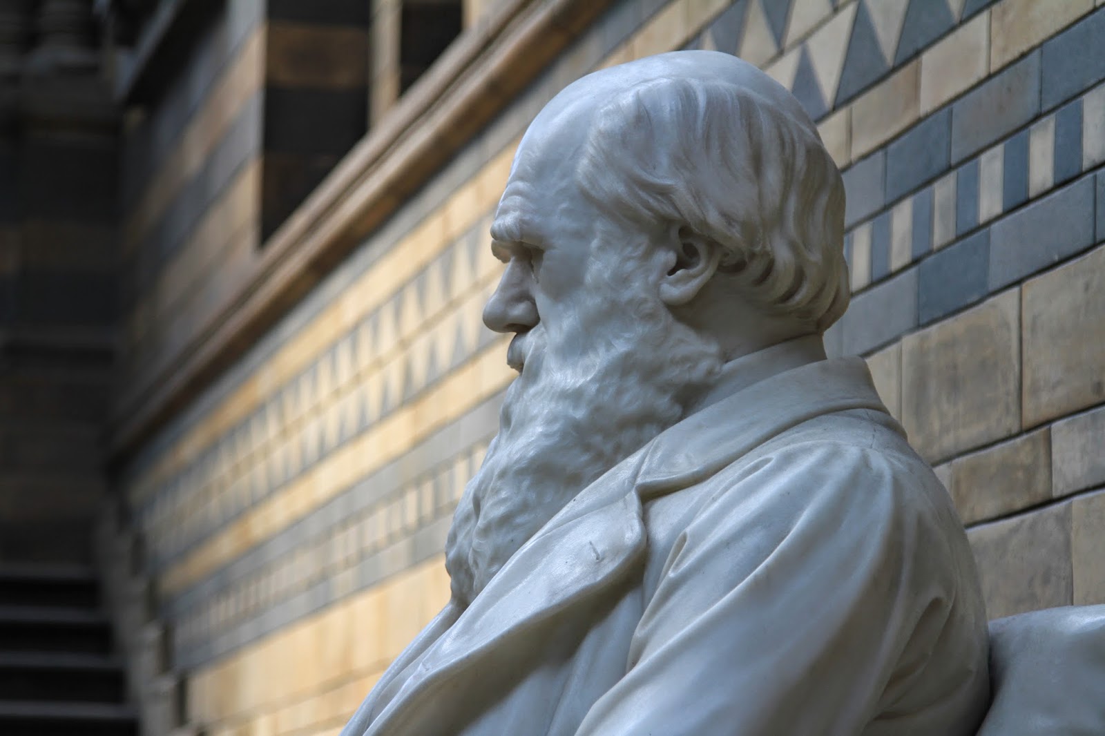 TravelMarx A Visit to the British Natural History Museum