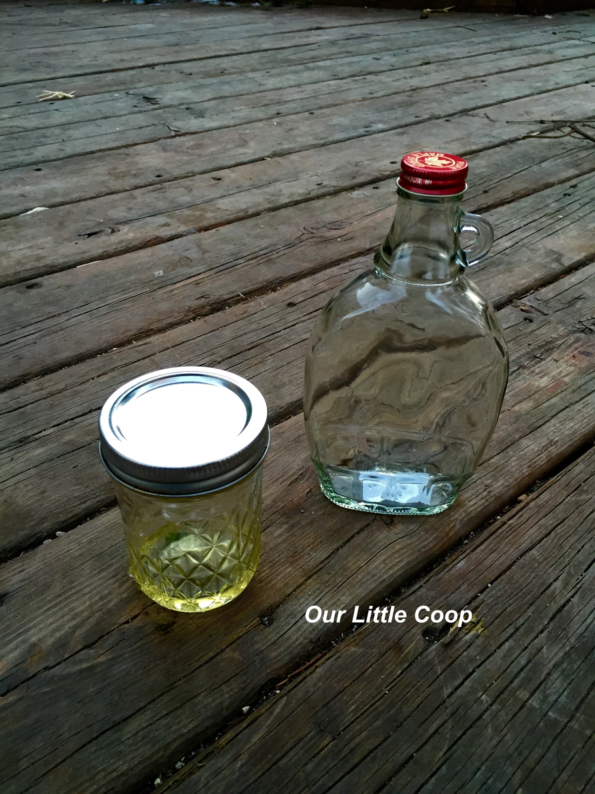 maple syrup jars cheap tap my trees