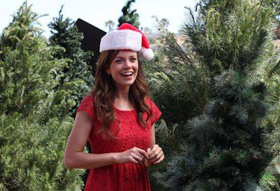 Denise richards gets unexpected surprise in ‘a christmas reunion Its a Wonderful Movie - Your Guide to Family and Christmas Movies on TV