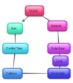 Biome Project Blog: Taiga Food Chain by Cameron Pitts