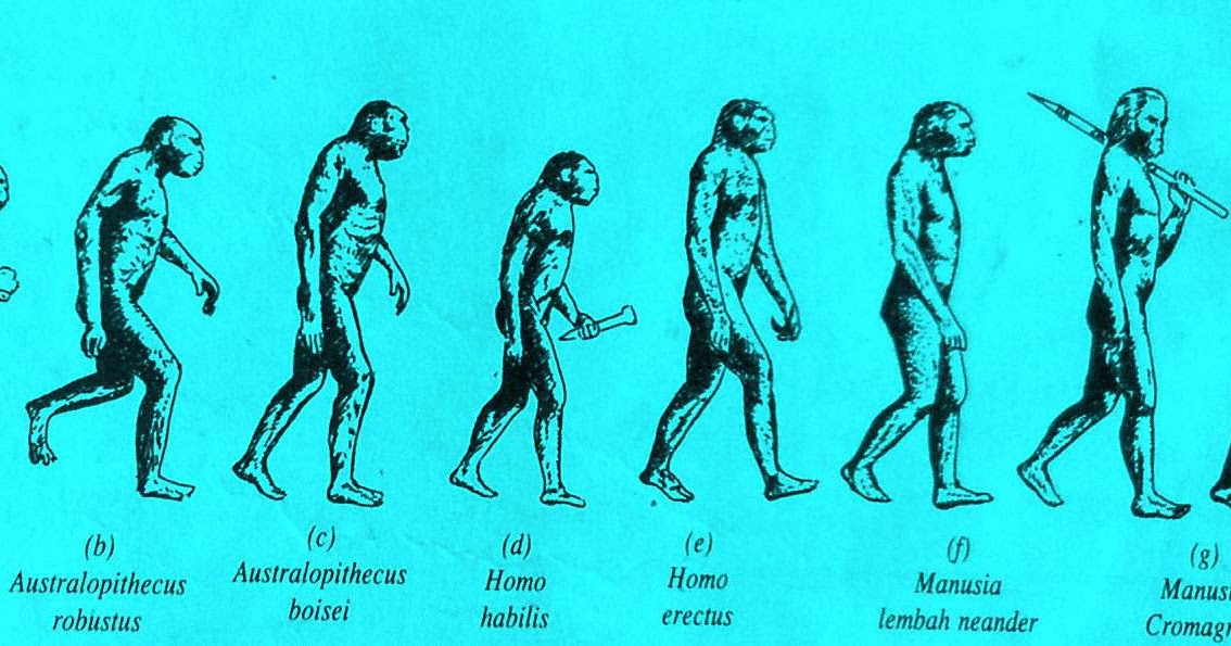 Genus Homo it�s me… Genus Homo it�s me…