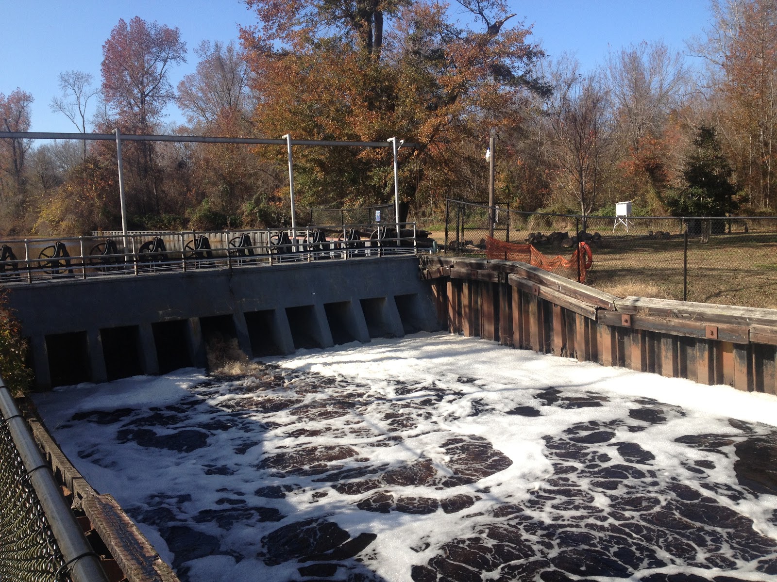 Kayak Virginia The Great Dismal Swamp, Lake Drummond.