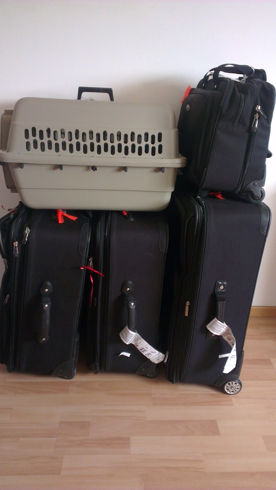 Ace the Adventure Our Moving Day Suitcases A Reflection on Packing