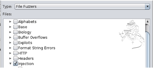 Fuzzing Injection