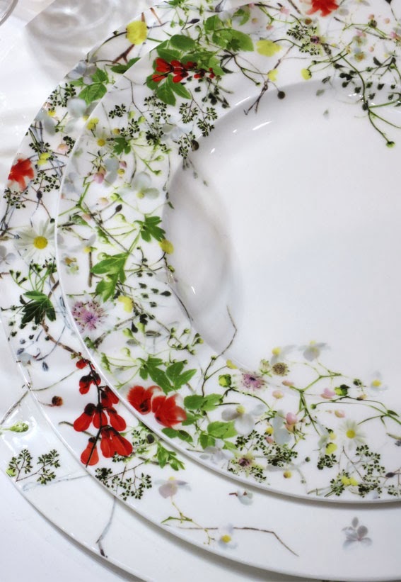 http://www.rosenthal.de/rosenthal-selection/tableware-en-1/brillance-fleurs-sauvages-en/