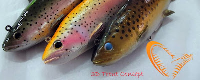 Quentin Combe Savage Gear Nouveautés News 2014 Leurres 3D Trout Rattle Shad