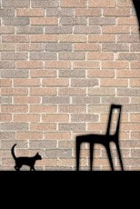 ShadowCat LiveWallpaper ShadowCat LiveWallpaper