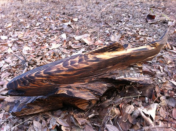 ponderosa pine trout carving