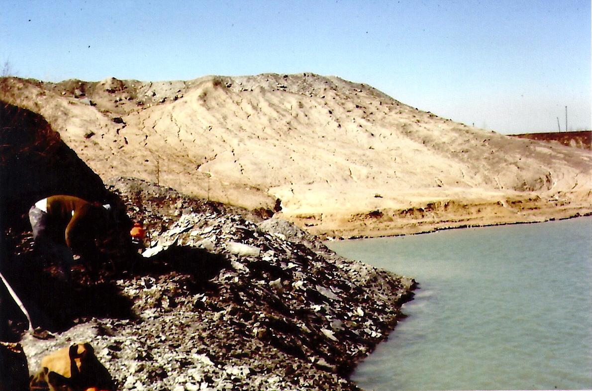 Rockhounding Around Fossil Park, Sylvania Ohio