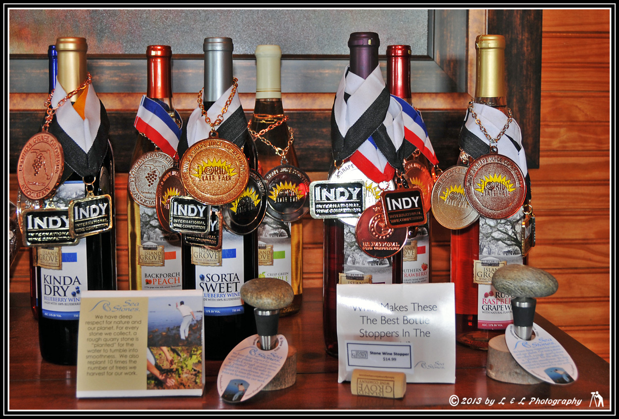 Ocala, Central Florida & Beyond Island Grove Winery