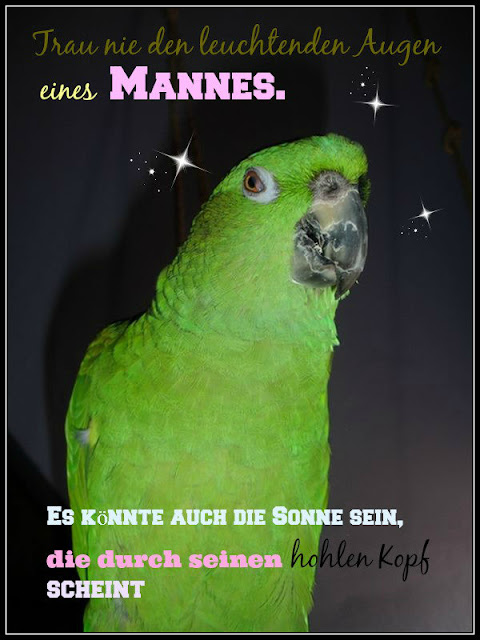 Max Papageiengeschichten Der Spruch Des Tages 9