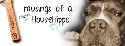 Musings of a HouseHippo