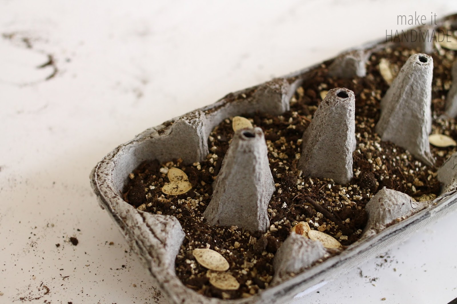 How to start vegetable seeds in egg cartons-- an easy step by step guide. A wonderful gardening project to do with kids of any age. from http://www.makeithandmade.com/2014/02/starting-seeds-in-egg-cartons.html 