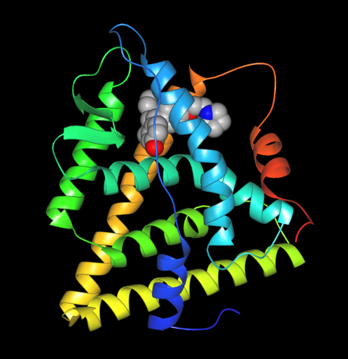 Receptores de hormonas Receptor de estrógenos