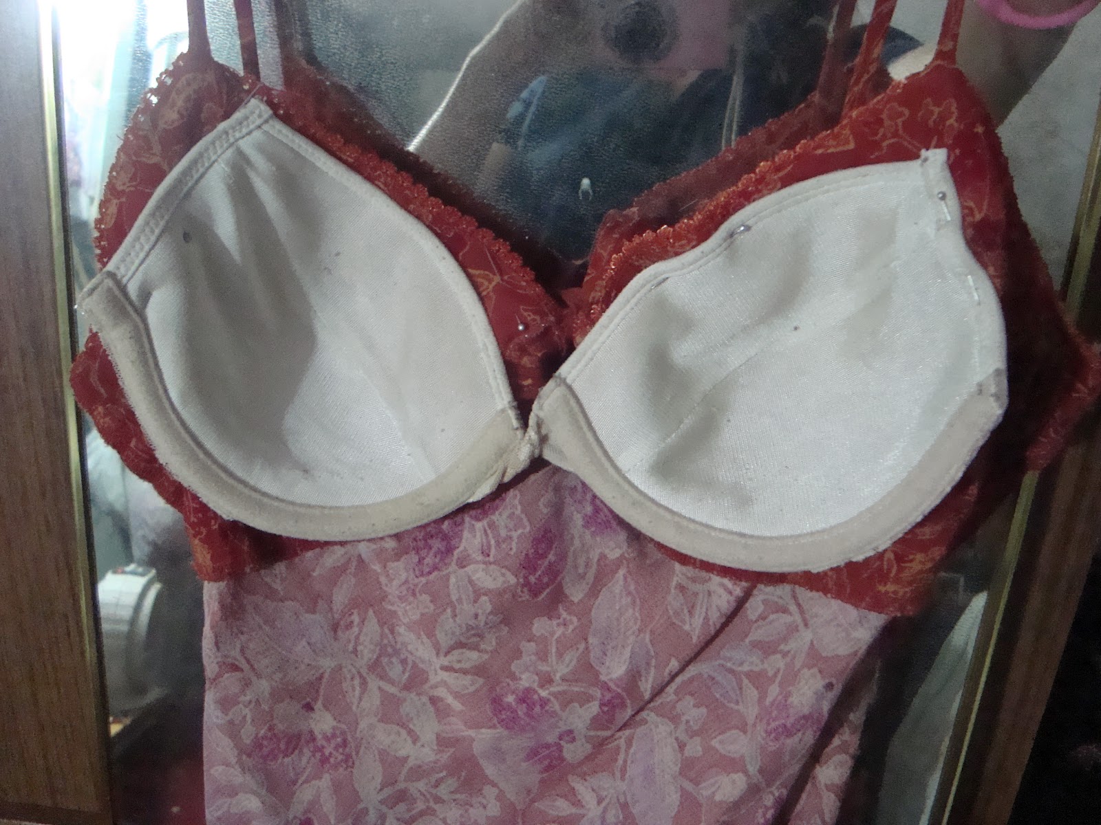 Lady of Whimsy Sewing project Adding a bra top to my dress