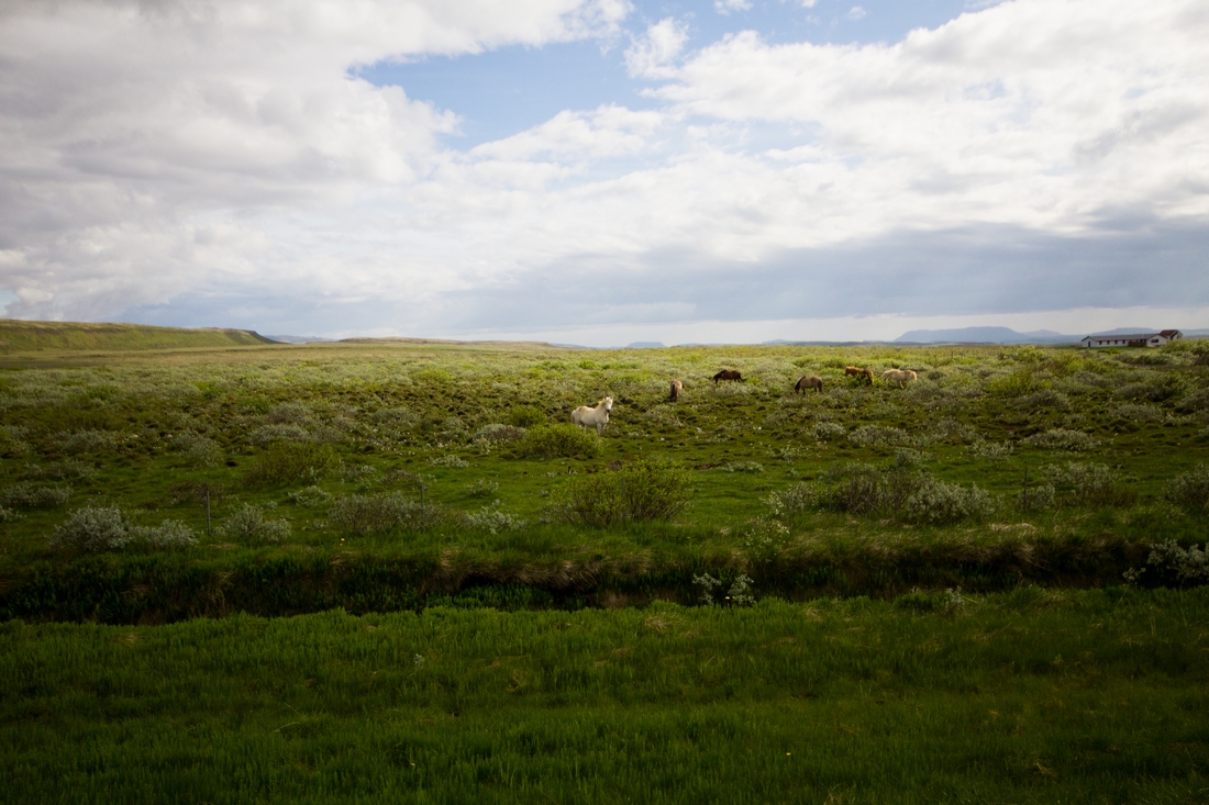 Islandia z dzieckiem na rowerze