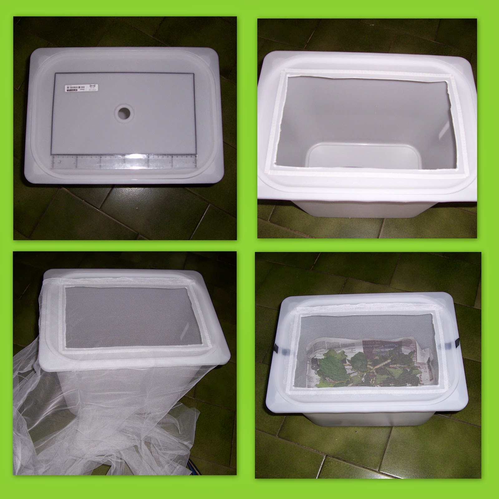 Susannes Sammelsurium