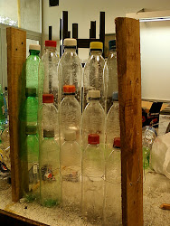 Reutilizando las botellas de plástico
