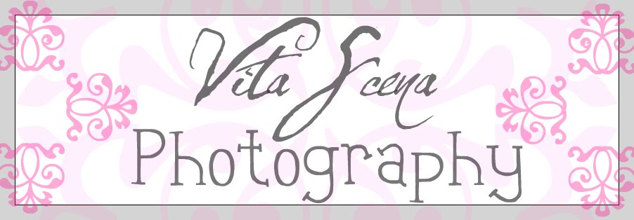 Vita Scena Photography