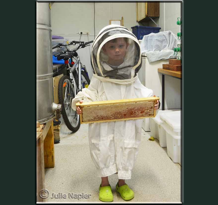 Little Beekeeper with his Honeycomb Frame