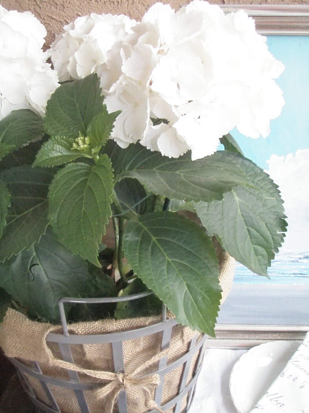 Cabin & Cottage Beach House in New Mexico