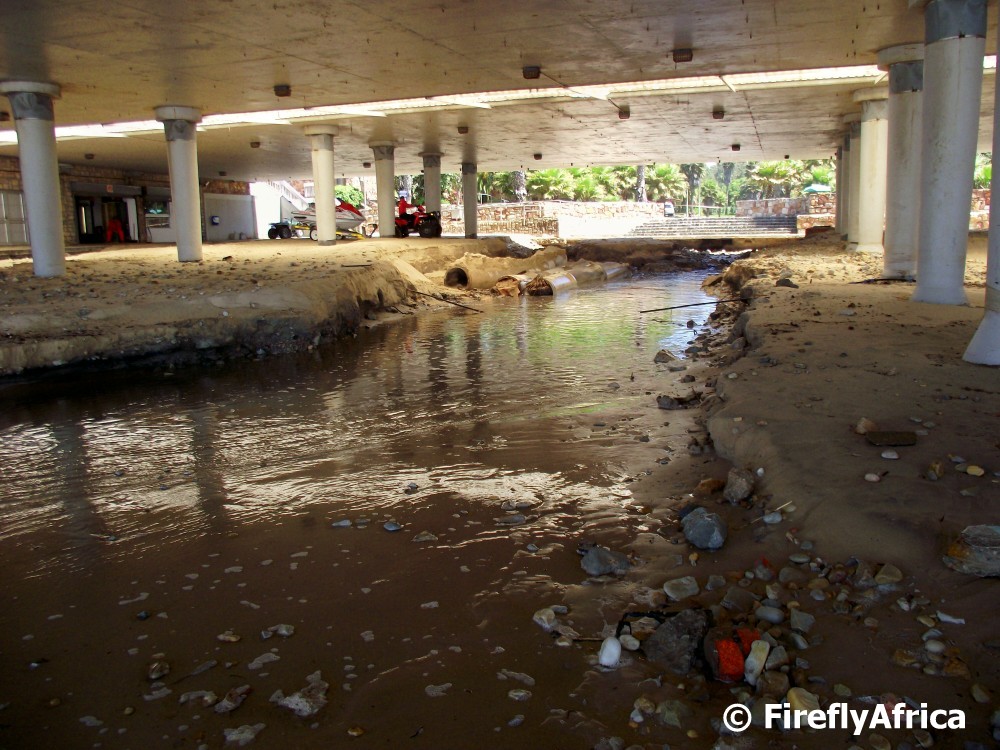 Port Elizabeth Daily Photo Humewood flood damage