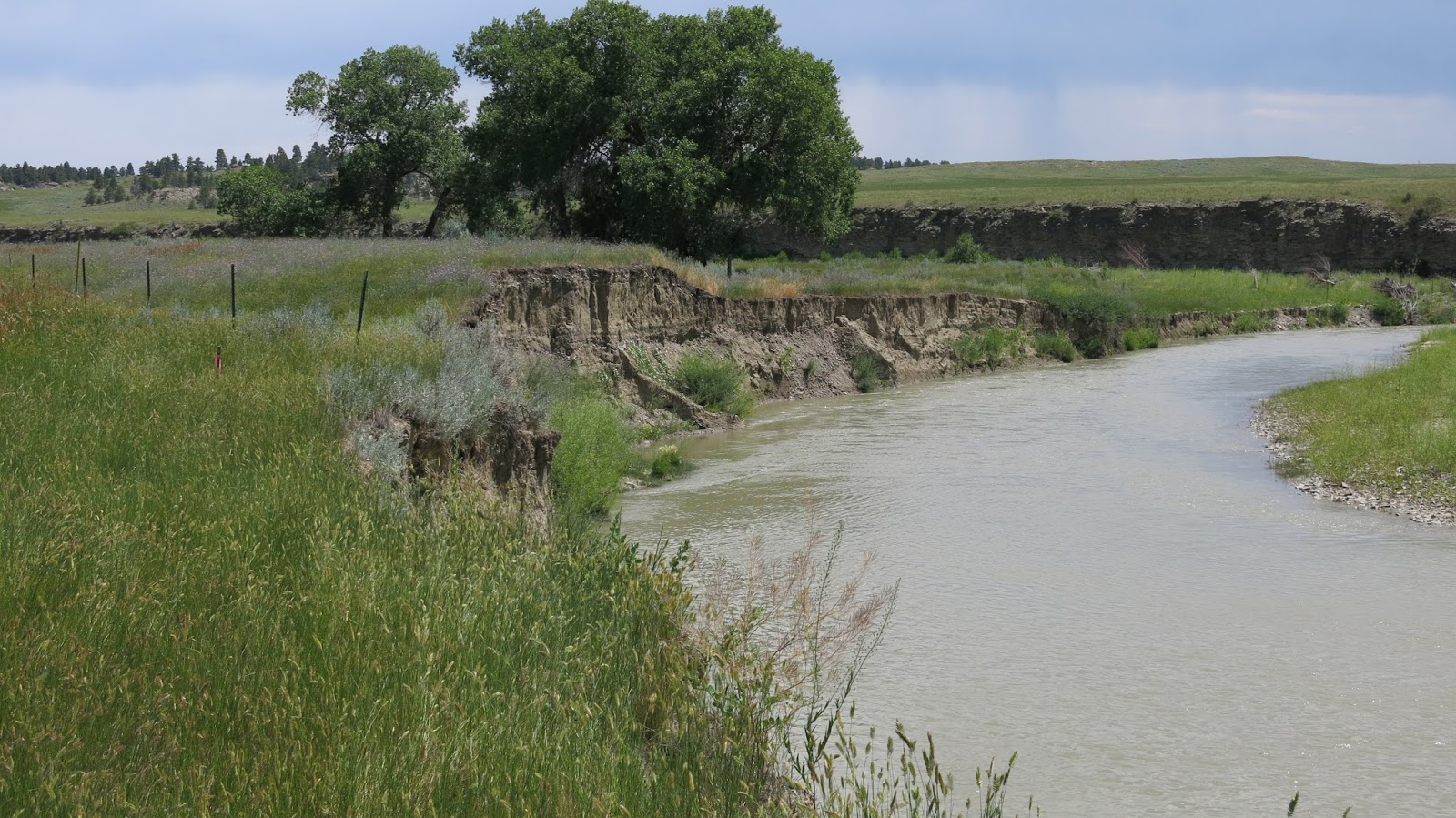 Geared Steam Milwaukee Road Mainline from Lavina, Harlowton and Two Dot