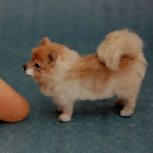 11-Pomeranian-Dog-ReveMiniatures-Miniature-Animal-Sculptures-that-fit-on-your-Hand-www-designstack-co
