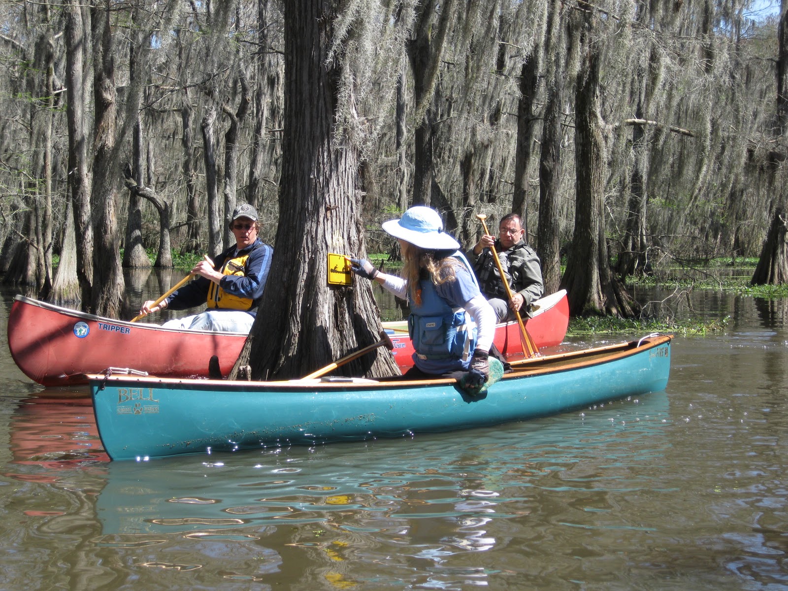 New Orleans Outdoor Companion Canoe Camping in Chicot State Park (LA)