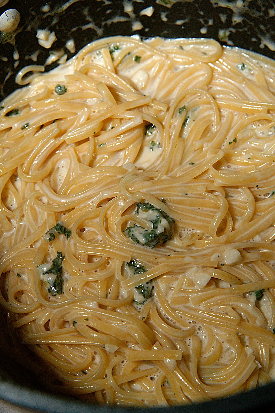 Double Cream Garlic Pasta Sauce at Francisco Thompson blog