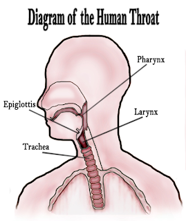 sensory recepters A specialized nerve ending that, when stimulated, initiates an afferent or sensory nerve impulse 1 a molecule on the surface or within a cell that recognizes and binds with specific molecules, producing some effect in the cell, eg the cell-surface receptors of immunocompetent cells that . sensory recepters A specialized nerve ending that, when stimulated, initiates an afferent or sensory nerve impulse 1 a molecule on the surface or within a cell that recognizes and binds with specific molecules, producing some effect in the cell, eg the cell-surface receptors of immunocompetent cells that .