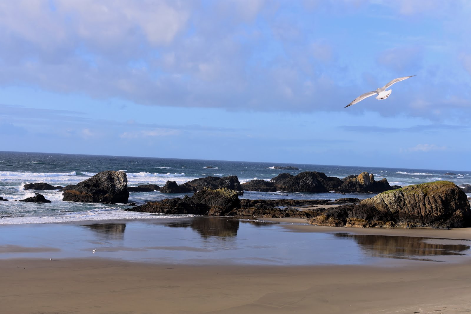 Wings and Water