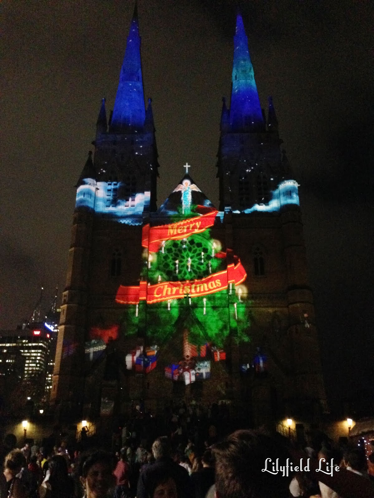 Lilyfield Life Christmas Lights at St Mary's Cathedral