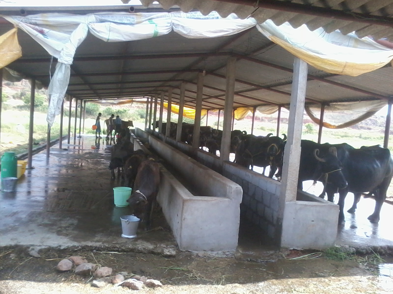 Andhra pradesh govt website image