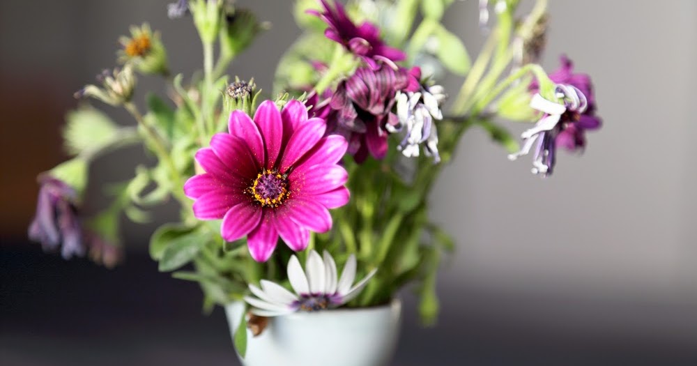 Interesting Ways to Reuse Dead Flower