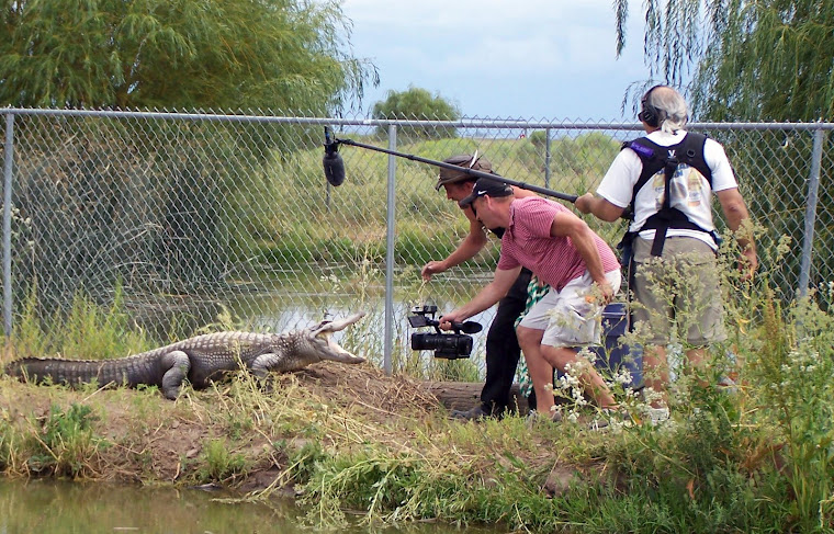 Colorado Gators