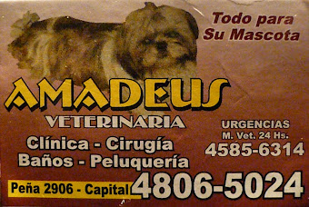 VETERINARIA AMADEUS