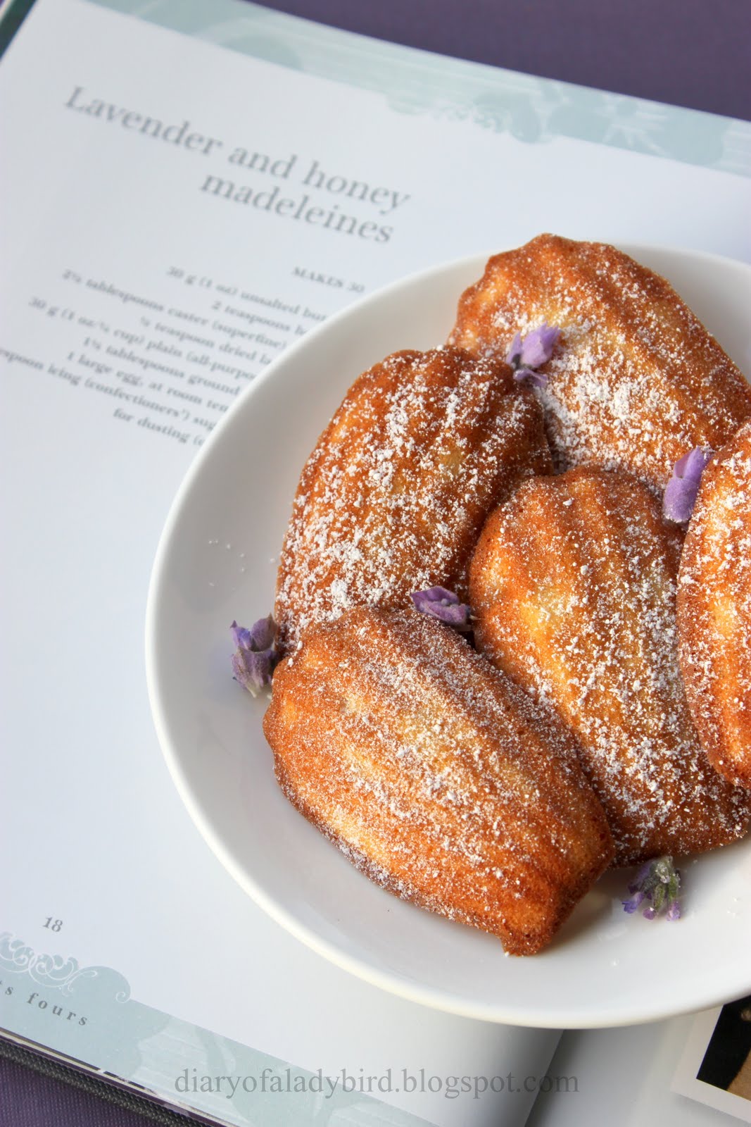 Diary of a Ladybird Lavender and Honey Madeleines