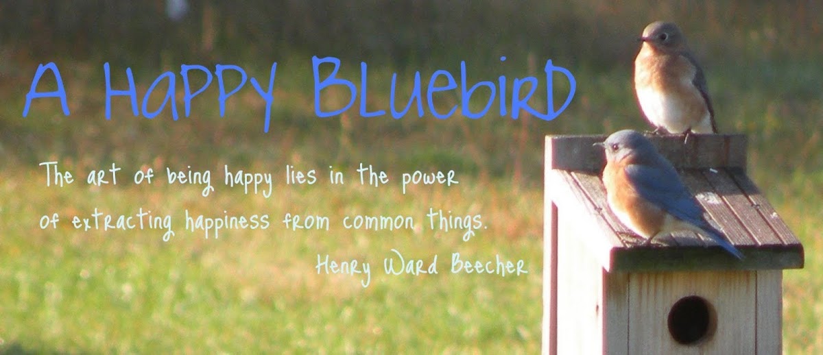 A Happy Bluebird
