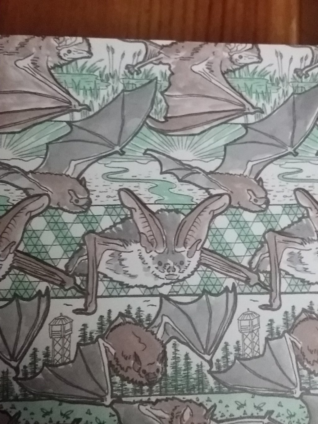 shelf notes Bats of the Republic