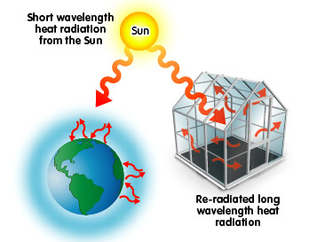 global warming: greenhouse effect