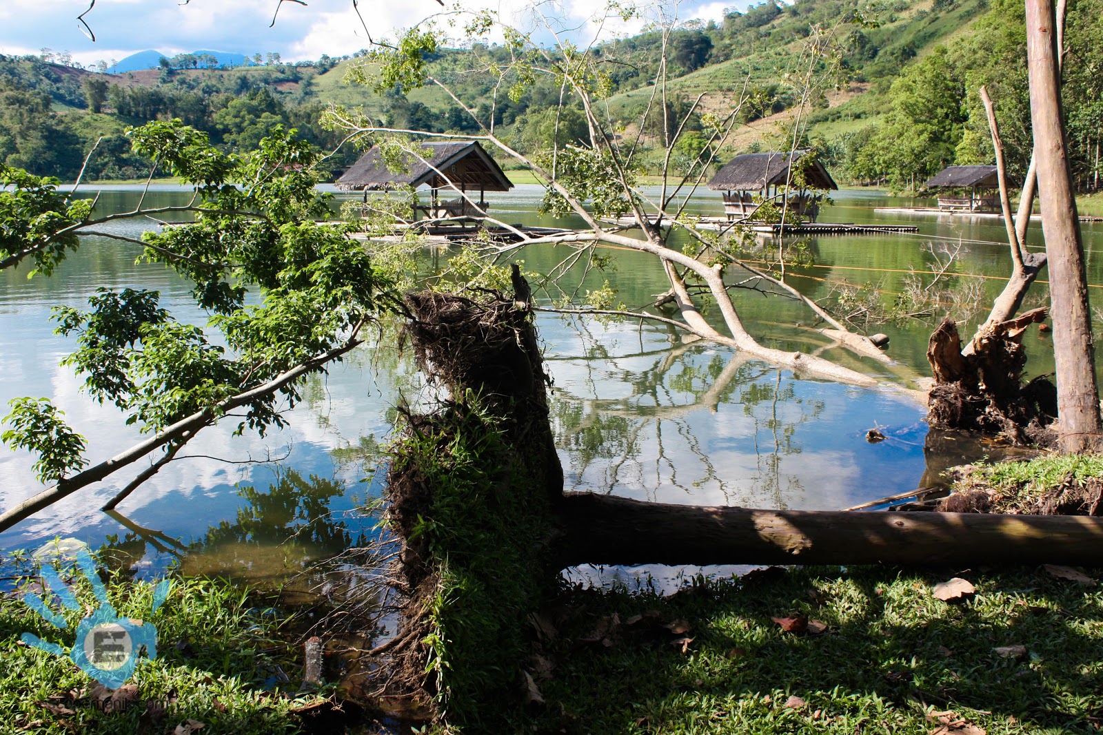 Day Trip to Valencia, Bukidnon Escape Manila