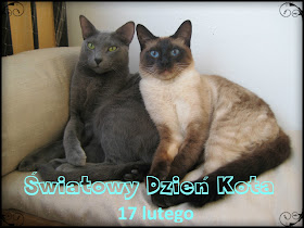 Stara Winiarnia Valdemar Kot Rosyjski Niebieski I Xawery Kot Tajski